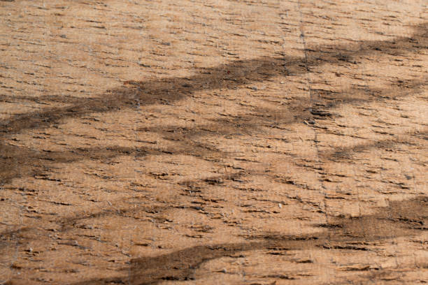 istock Background of exotic wood grain 1140175812
