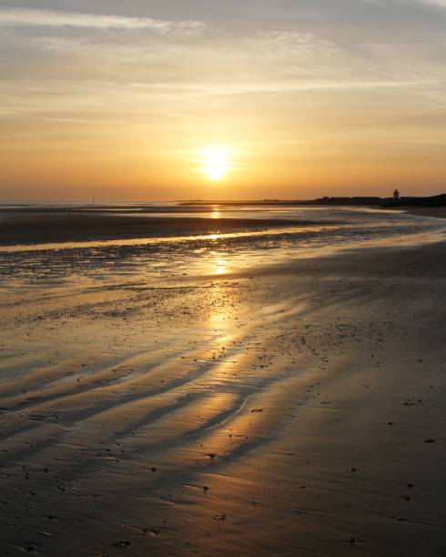 istock golden sunset on beach 1140175856