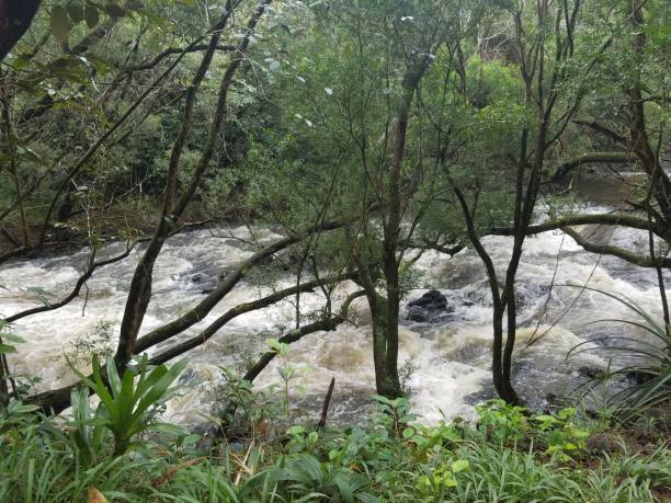 istock Power of Mother Nature 1140175931