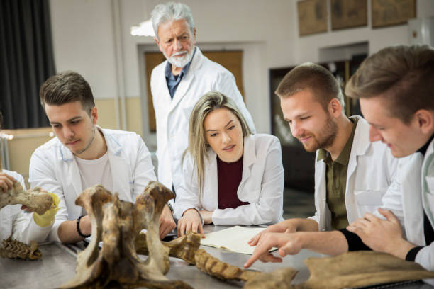istock Group of students in classroom 1140176566