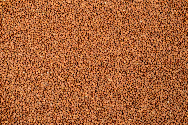buckwheat. fresh buckwheat. dry buckwheat background. buckwheat texture - friable imagens e fotografias de stock