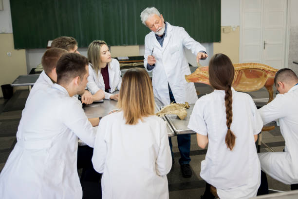 die studenten diskutieren mit dem professor. - anatomy classroom human skeleton student stock-fotos und bilder