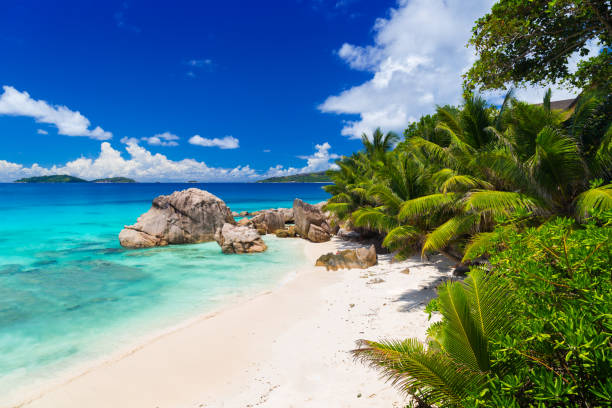 istock Tropical beach on Seychelles 1140179299