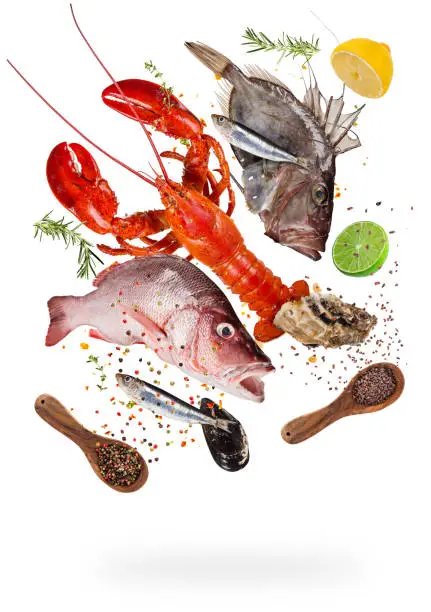 Photo of Flying raw sea fish with ingredients for cooking. Food preparation concept