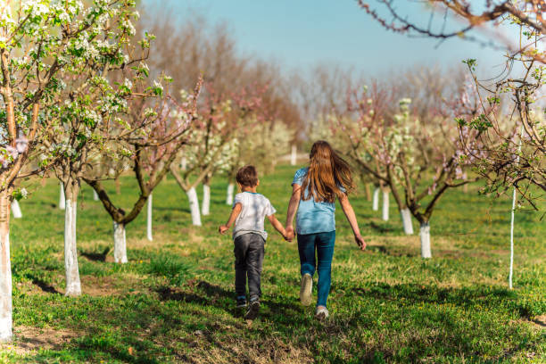 istock Children in the orchard 1140180856