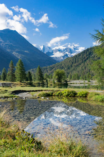 маунтинбикинг в долине энгадин в швейцарии - pontresina european alps st moritz engadine стоковые фото и изображения