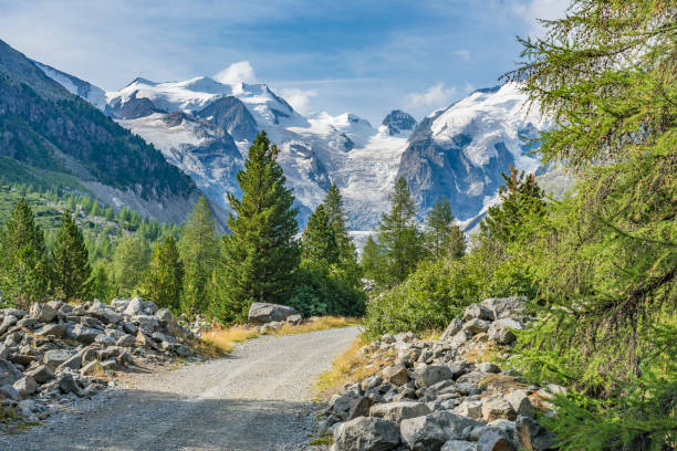 스위스의 엥가 딘 계곡에서 산악 자전거 타기 - piz palü 뉴스 사진 이미지