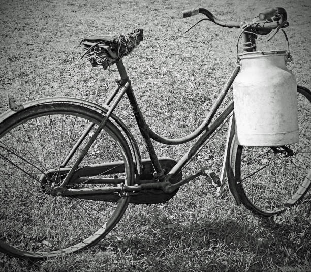 istock milking bike with bin for milk transport  with balck and white e 1140183903