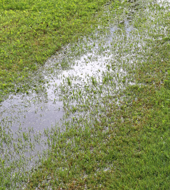 istock puddle in the meadow after the rain 1140184568