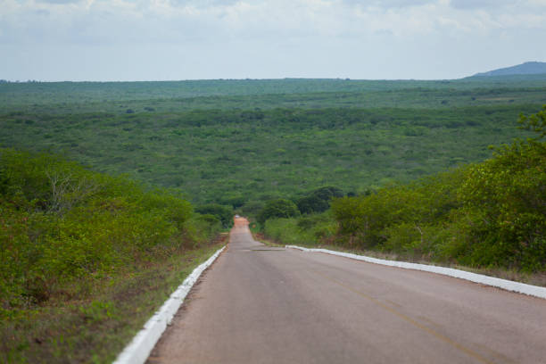 istock Road in Brazil 1140185378