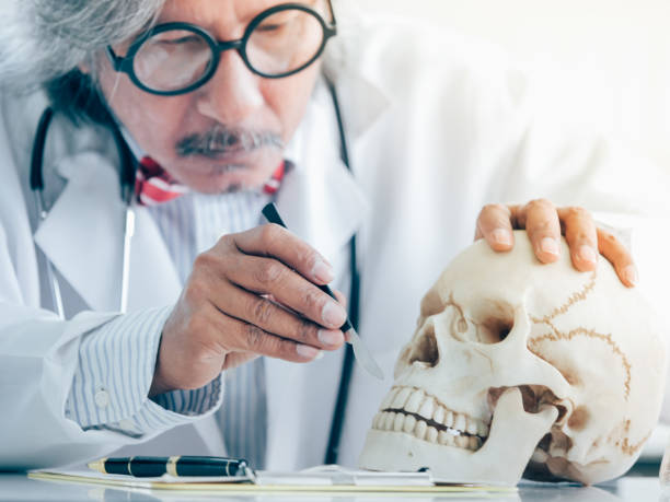 istock Asian Senior Medical Research Scientist working in lap 1140185470