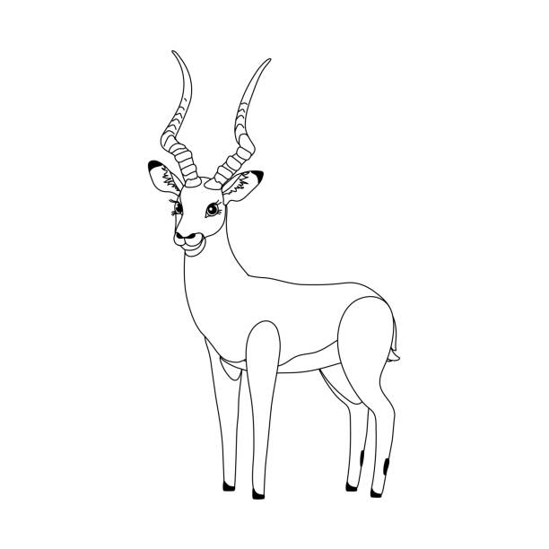 illustrations, cliparts, dessins animés et icônes de vecteur ligne cartoon animal clip art - kruger national park illustrations