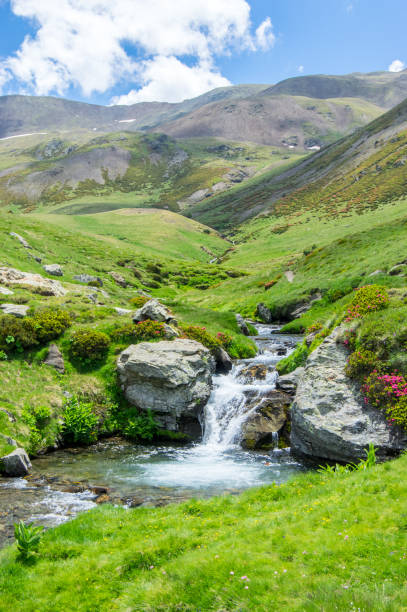 in Eyne valley, Pyrenees-Orientales, France
