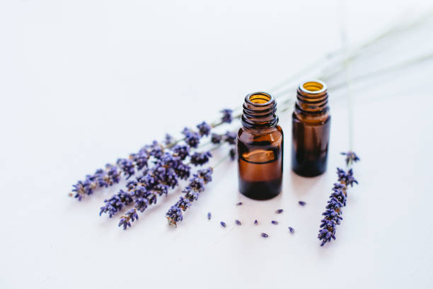 istock Dried lavender with a bottle of essential oil 1140192876