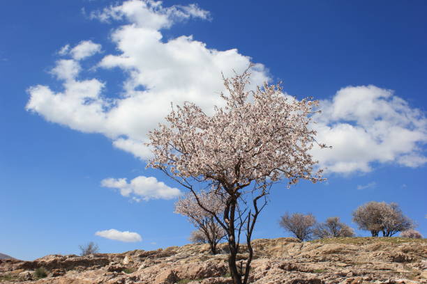 Landscape photography