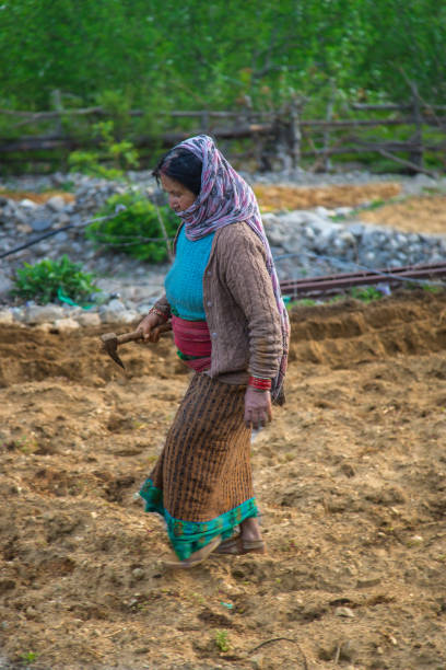istock Poor Indian farmer women in field 1140195953