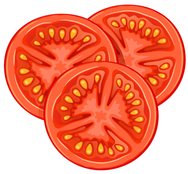 Vector tomato slices isolated on white background. Vector tomato slices isolated on white background. Food ingredient. tomato slice stock illustrations