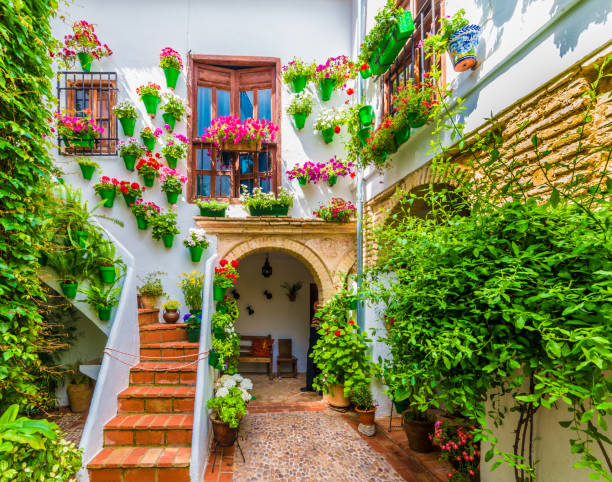 Courts with flower Cordoba, Spain - May 11, 2016: Traditional house and courts with flower in Cordoba, Spain courtyard stock pictures, royalty-free photos & images