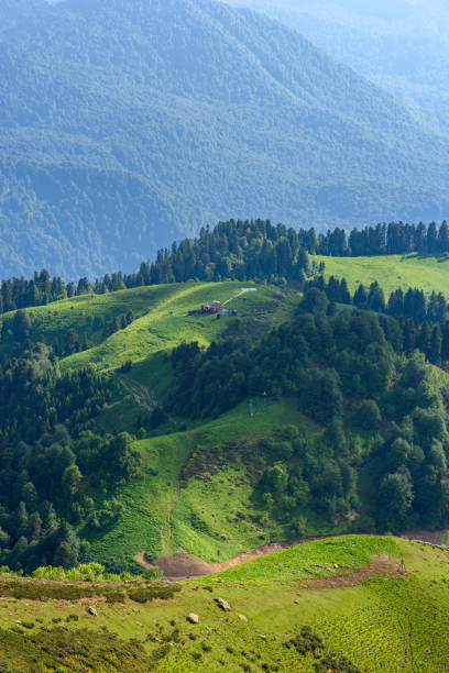 istock Mountain meadows and mountain forest in Sochi Russia 1140201513