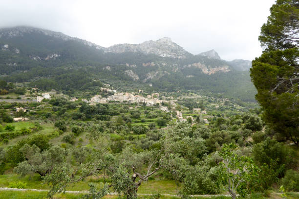 istock Mallorca, Balearic islands, Spain 1140204211