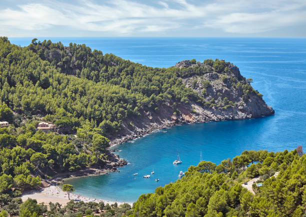 istock Cala Tuent cove beach seen from above. 1140209517