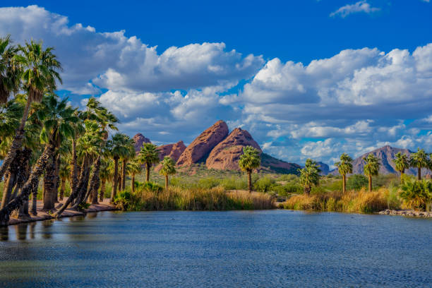 istock SPRINGTIME AT PAPAGO PARK TEMPE NEAR PHOENIX AZ 1140210641