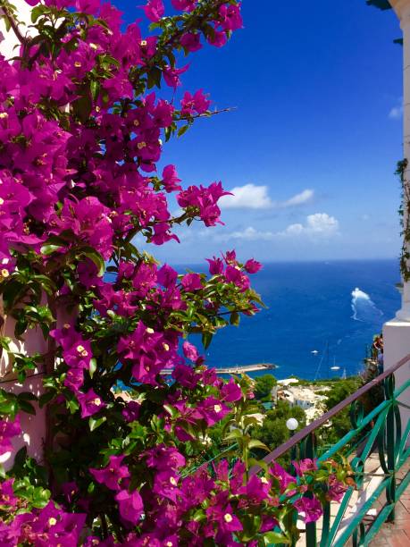 istock Flowers in italy 1140212508