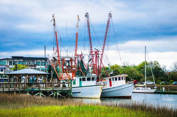 docked in shem creek - barco de pesca de camarões imagens e fotografias de stock