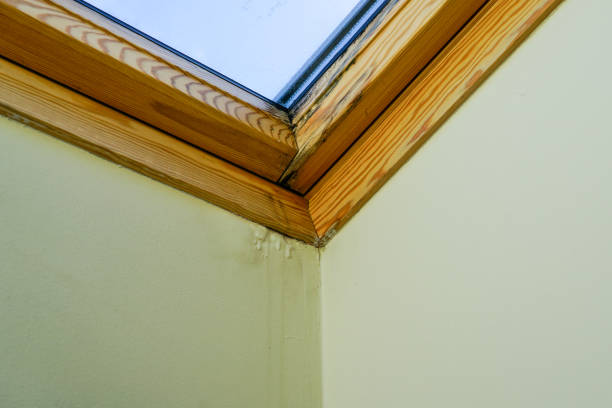 istock water and moisture damaged ceiling next to roof window 1140213788