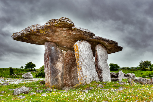 Impressions from Ireland: in the Burren, County Clare, Ireland