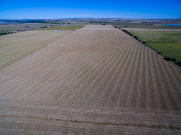 istock Field pampeano.vista aerial 1140221241