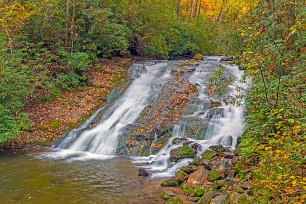 istock Secluded Cascade in the Autumn Forest 1140229466