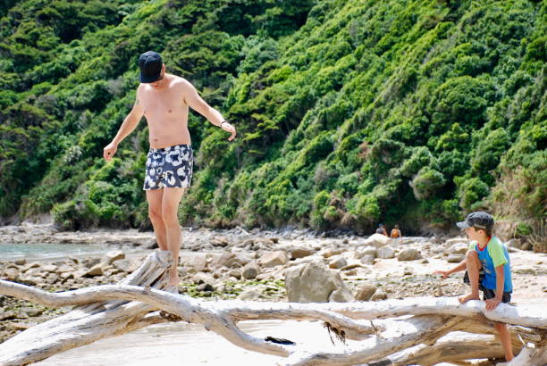istock Man and Boy Play on Driftwood at a Beach in Summer 1140245937