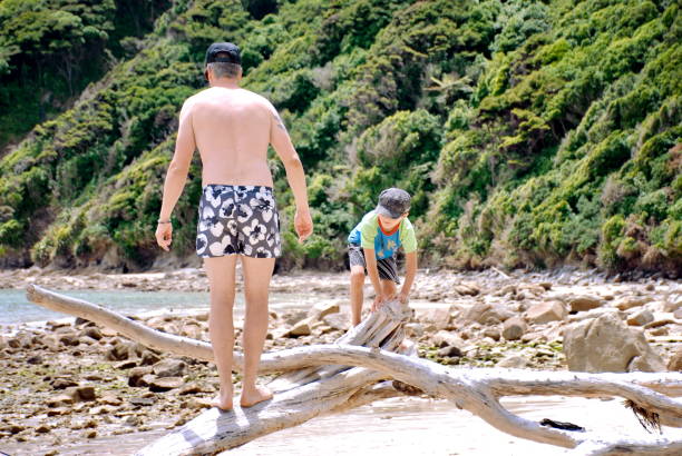 istock Man and Boy Play on Driftwood at a Beach in Summer 1140247259