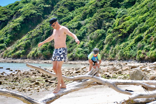 istock Man and Boy Play on Driftwood at a Beach in Summer 1140248977