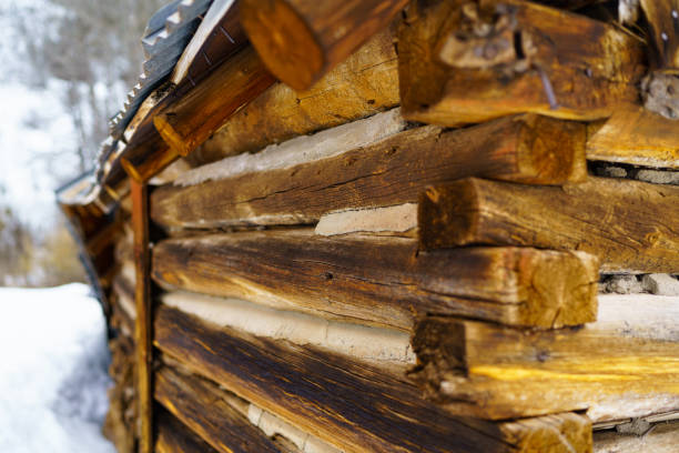 Winter setting of old log cabin in the woods