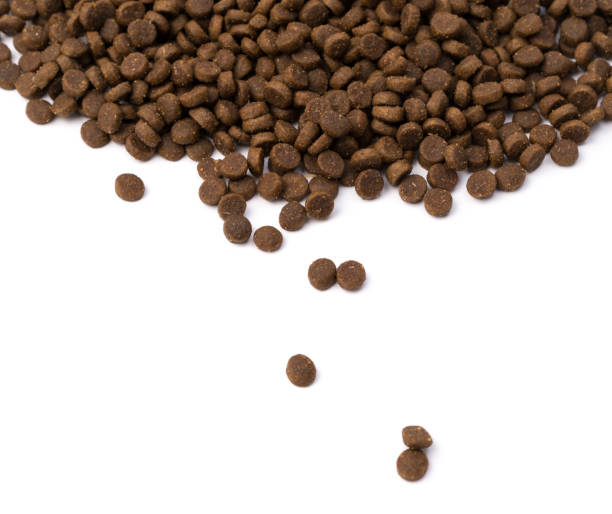 istock cat food on white background 1140250344