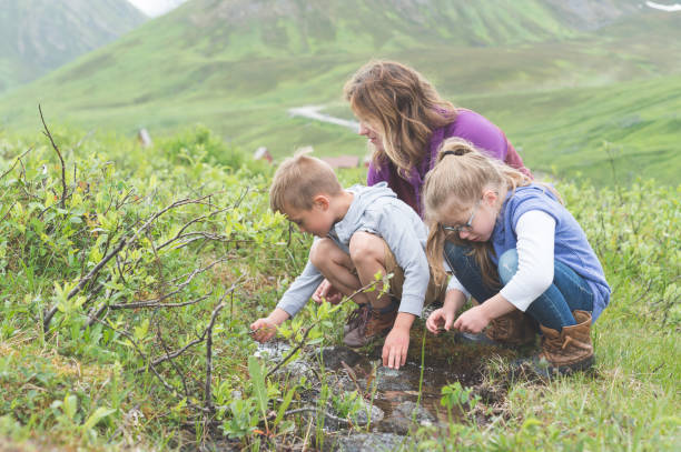 istock Mom looks for creatures in a tiny Alaska stream with her two children 1140250580