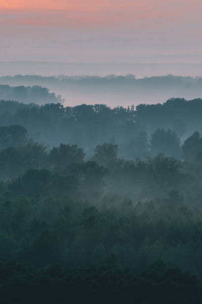 istock Mystical view from top on forest under haze at early morning. Mist among layers from tree silhouettes in taiga under warm predawn sky. Morning atmospheric minimalistic landscape of majestic nature. 1140250690