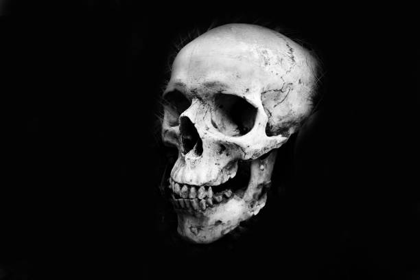 istock Human Skull head on dark black background - Monochrome 1140254841