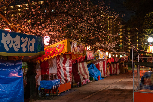Cherry blossoms night view and Food stall in Japan