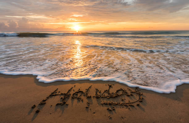 istock beautiful beach with holiday in sunset 1140263405