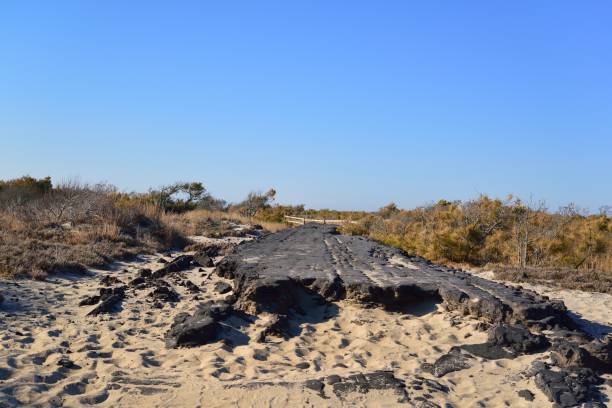 Assateague Island Storm Damaged Road The remains of a road in the Assateague Island National Seashore destroyed by a storm in 1962.  The road is slowly being remove from the park to allow nature to restore the area. eastern shore sand sand dune beach stock pictures, royalty-free photos & images