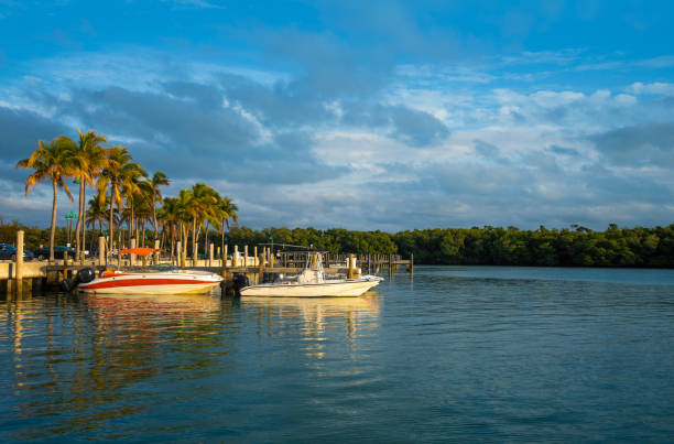 marina de miami - marina yacht florida sunset - fotografias e filmes do acervo