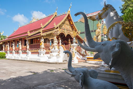 Doi Inthanon at Chiang Mai,Thailand