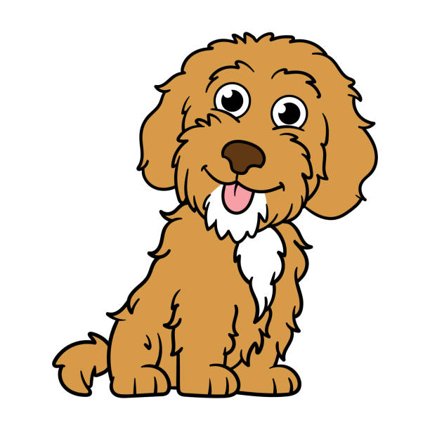 ilustraciones, imágenes clip art, dibujos animados e iconos de stock de cartoon cockapoo dog - labradoodle