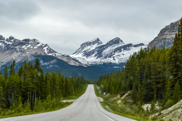 istock Mountain Highway - Canada Rocky Mountains - Icefields Parkway 1140274288