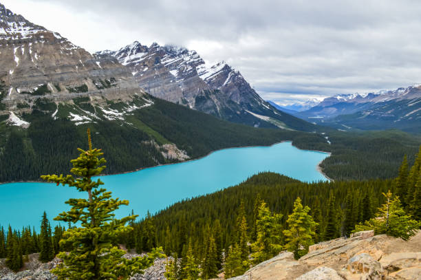istock Peyto Lake - Canada - Rocky Mountains - Cloudy Day 1140274298
