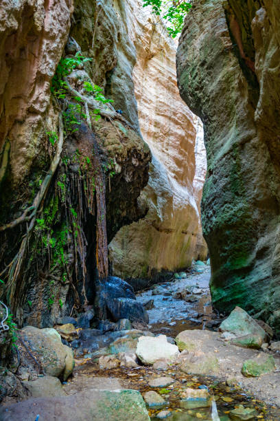 istock Avakas gorge on Cyprus 1140275635