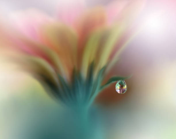 istock Beautiful macro shot,magic flowers.Border art design.Magic light.Extreme close up macro photography.Conceptual abstract image.Orange and Yellow Background.Fantasy Art.Creative Wallpaper.Beautiful Nature Background.Artistic Spring Photo.Beauty in Nature. 1140278063